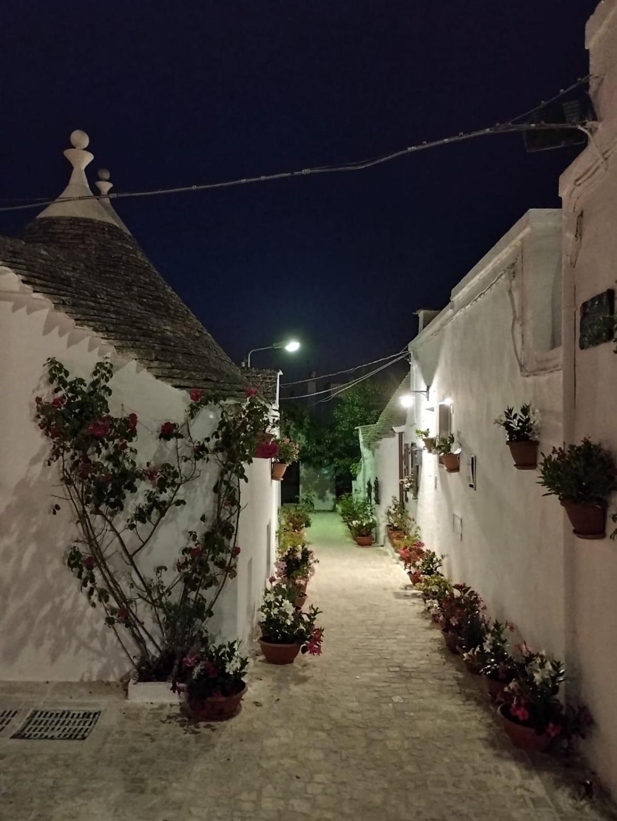 Trullo "Vicolo Fiorito" Villa Alberobello Bagian luar foto