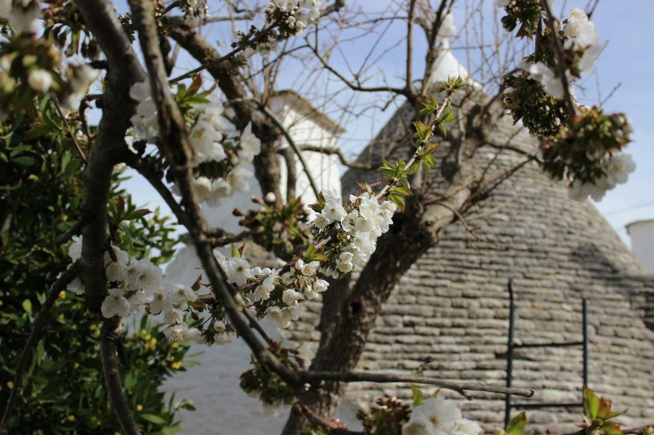 Trullo "Vicolo Fiorito" Villa Alberobello Bagian luar foto